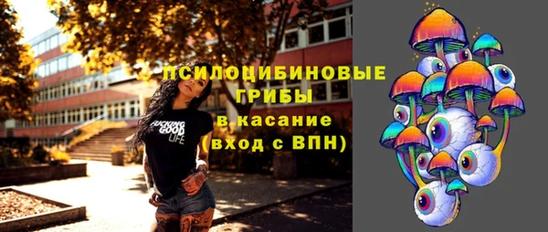 кокс Бородино