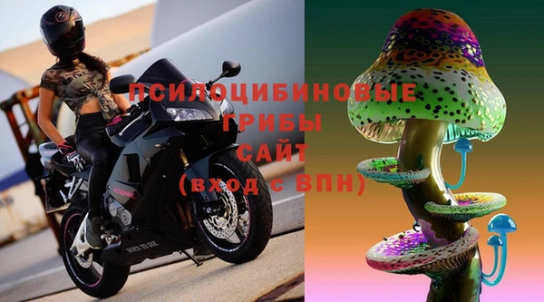 мяу мяу мука Бугульма